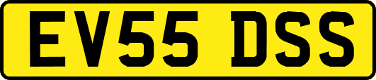 EV55DSS