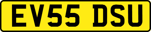 EV55DSU