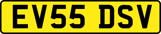 EV55DSV