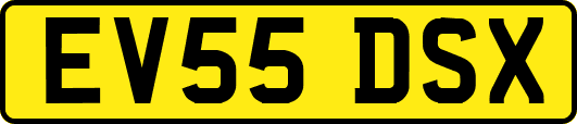 EV55DSX