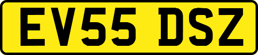 EV55DSZ