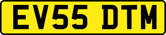 EV55DTM