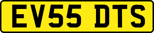 EV55DTS