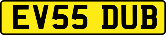 EV55DUB