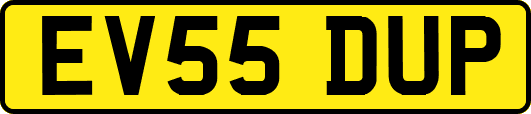 EV55DUP