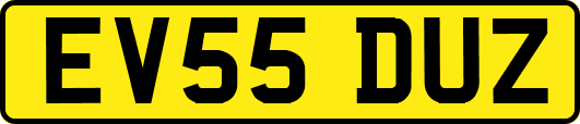 EV55DUZ
