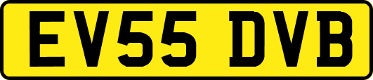 EV55DVB