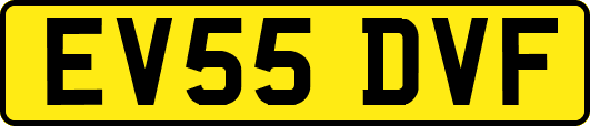 EV55DVF