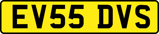EV55DVS