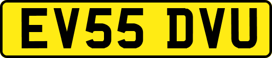 EV55DVU