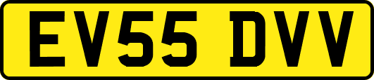 EV55DVV