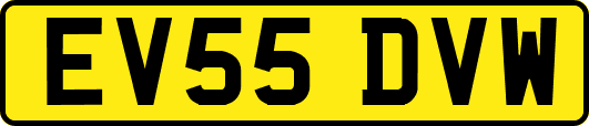 EV55DVW