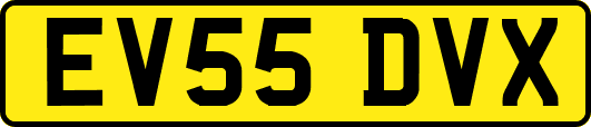 EV55DVX