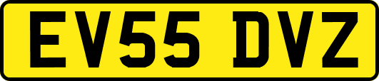EV55DVZ