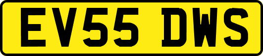 EV55DWS