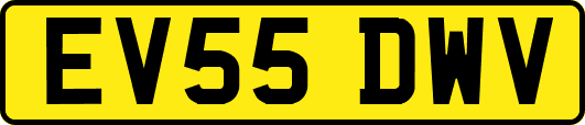 EV55DWV