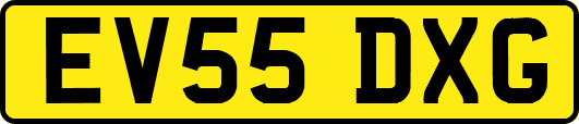 EV55DXG