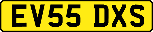 EV55DXS