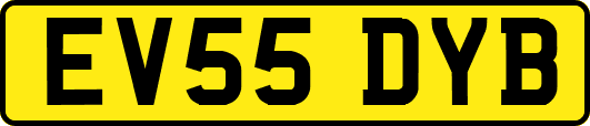 EV55DYB