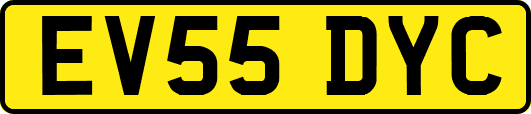 EV55DYC