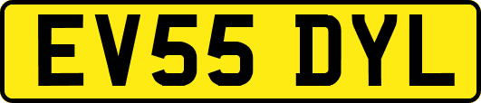 EV55DYL