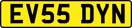 EV55DYN