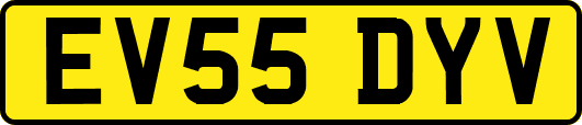 EV55DYV