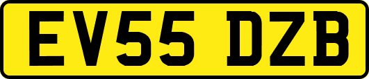 EV55DZB