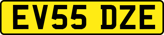 EV55DZE