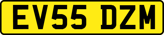 EV55DZM