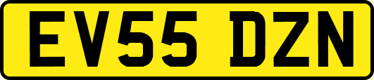 EV55DZN