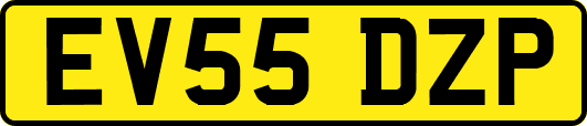 EV55DZP