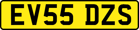 EV55DZS