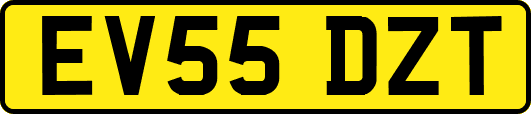 EV55DZT