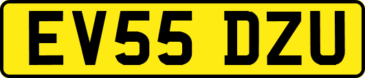 EV55DZU
