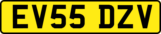 EV55DZV