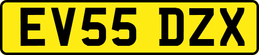 EV55DZX