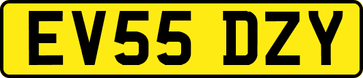 EV55DZY