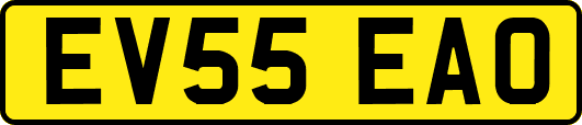 EV55EAO