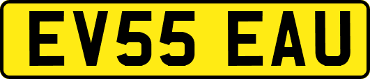 EV55EAU