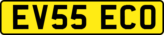 EV55ECO