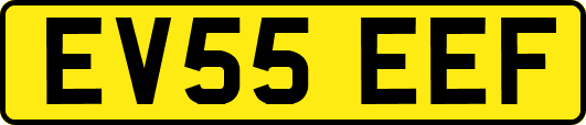 EV55EEF