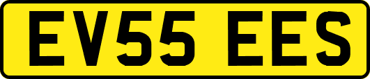 EV55EES