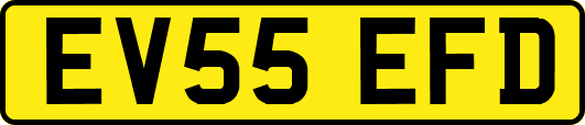 EV55EFD