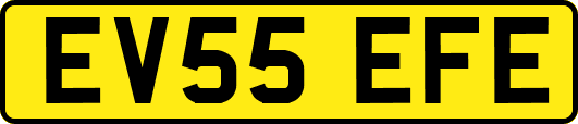 EV55EFE