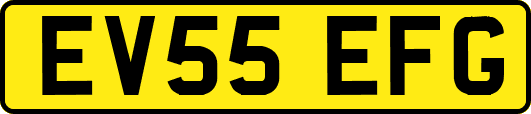 EV55EFG