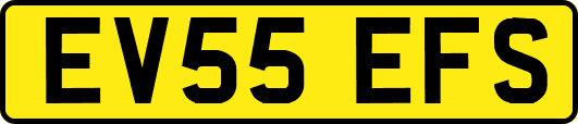 EV55EFS