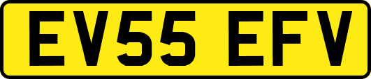 EV55EFV