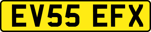 EV55EFX