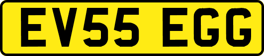 EV55EGG